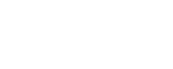 Stellaris Logo White Main