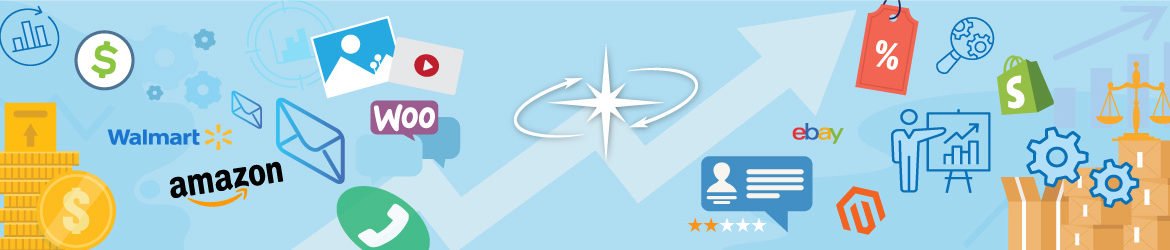 Ecommerce Seller Solutions and Consulting Services