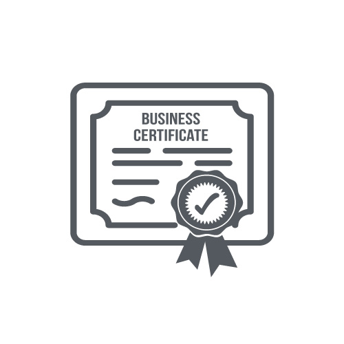 Business Entity Formation