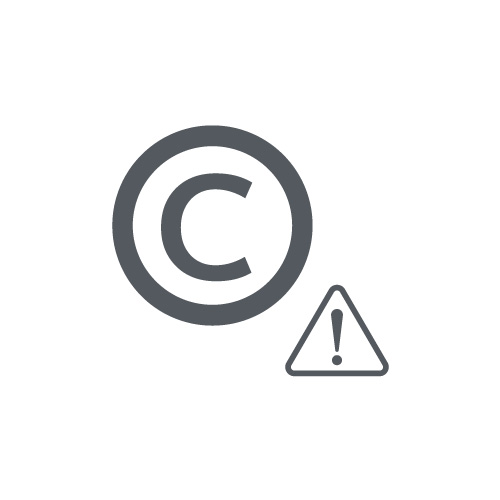Copyright Infringement Legal Services